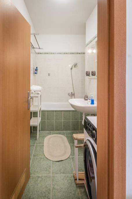 Sunny And Pet Friendly 1bedr Close To The Centre Apartment