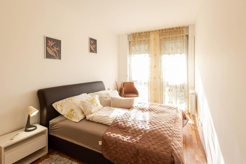 Sunny And Pet Friendly 1bedr Close To The Centre *